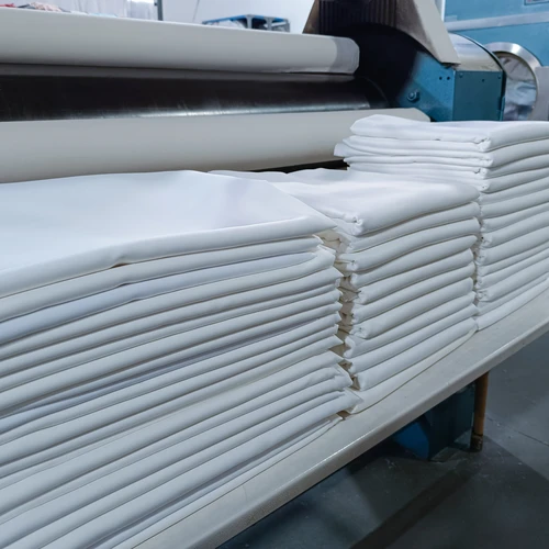 shutterstock_2503023911